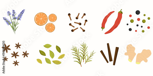 Spices and herbs set with lavender, pepper, spicy, paprika, peppercorns, cinnamon, star anise, cardamom, dried oranges, rosemary, ginger, cloves