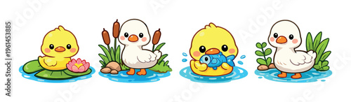 Ducklings and ducks floating and standing in a pond