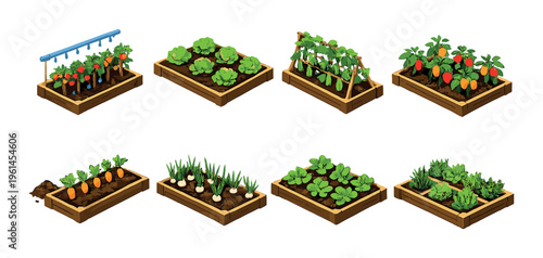 Raised garden beds with vegetables and irrigation elements