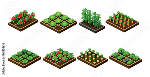Raised garden beds with assorted vegetables in grid layout