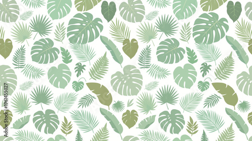 Tropical Monstera Leaf Pattern with Dense Foliage on White Background.