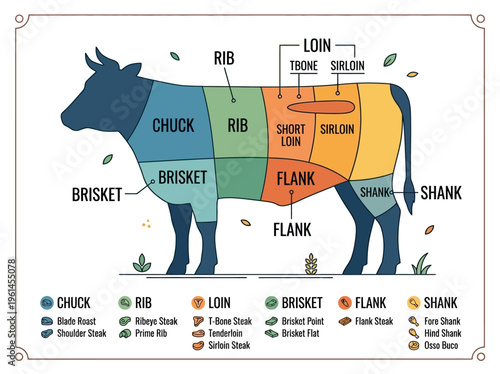 Guide to Beef Cuts and Their Culinary Applications for Home Cooks