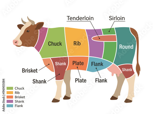 Detailed Beef Meat Cuts Infographic A Comprehensive Guide to Different Cuts