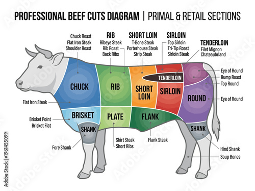 A detailed diagram illustrating the various primal and retail cuts of beef, ideal for butchers and chefs