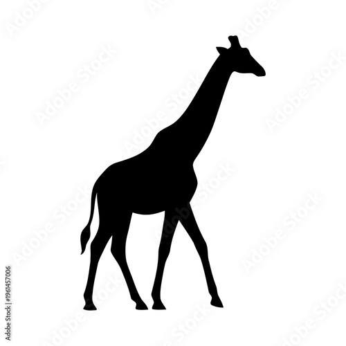 Black silhouette of a giraffe walking.