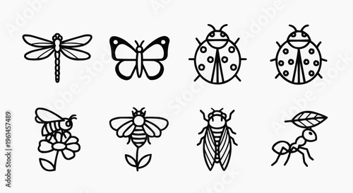 Set of line art illustrations of diverse insects. Each insect is represented with simple, clean lines, and easily recognizable features. This set is a great resource for educational materials.
