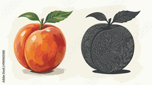 Vibrant Peach Illustration & Intricate Outline Art - Fresh Fruit Design Elements