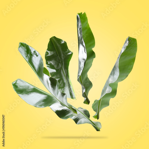 Bright banana leaves falling on ale orange background