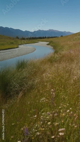 River flowing through a field of wildflowers in a mountainous valley