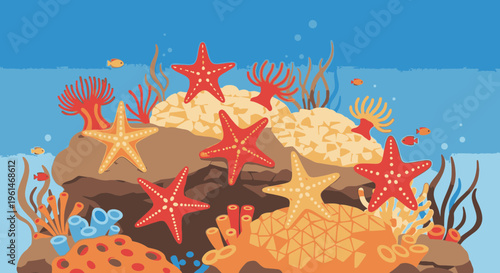 Red starfish on a coral reef.