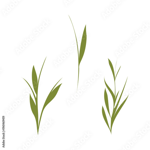 Three green stylized plant stems with delicate leaves stand upright on a clean white background. This botanical illustration features simple, elegant foliage for a fresh, natural feel.