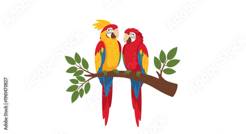 Two colorful parrots on branch together 4.