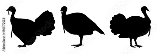Turkey bird silhouette set with simple line art design featuring simple design, minimalist, black and white with illustrations and graphics