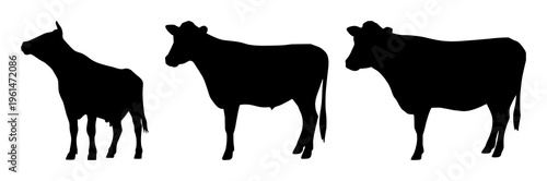 Cow side profile silhouette set with simple line art design featuring sketches, drawings, vector graphics with minimalist and simple illustrations