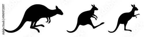 Kangaroo jumping silhouette set with dynamic stance and black outline featuring marsupial, sport, animals with wildlife and leap