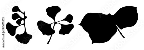 Ginkgo leaf silhouette set with black line silhouette of symmetrical fern‑shaped leaf featuring line art, black silhouette, botanical illustration with vector graphic and minimalistic design