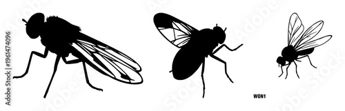 Firefly silhouette set with night sky background and glowing wings featuring insects, glow, nocturnal with vector and minimalist