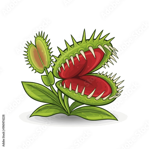 Vivid illustration of a fascinating carnivorous plant, showcasing its wide-open trap and predatory allure