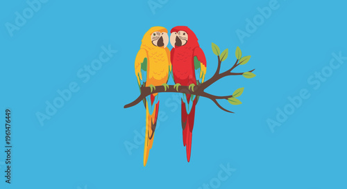 Two colorful parrots on branch together 1.
