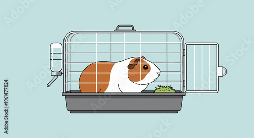 Guinea pig in a cage eating.