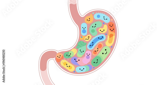 Cute cartoon stomach full of colorful, smiling bacteria and microbes, representing a healthy gut microbiome and digestive system