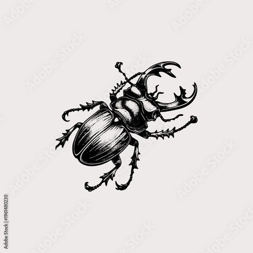 Detailed black and white stag beetle engraving tattoo art