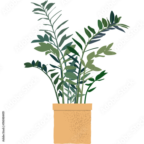 観葉植物のシンプルイラスト　ベクター　グリーン　アイコン　白背景　ザミオクルカス　絵　シンプル　癒し　