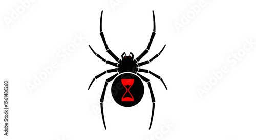 Black widow spider close up view.