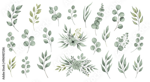 Collection of various green leafy plant branches and foliage.