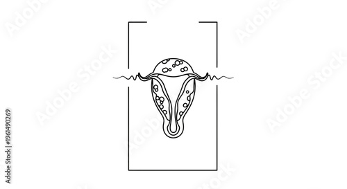 Minimalist black and white line art illustration of human female reproductive organ system anatomy