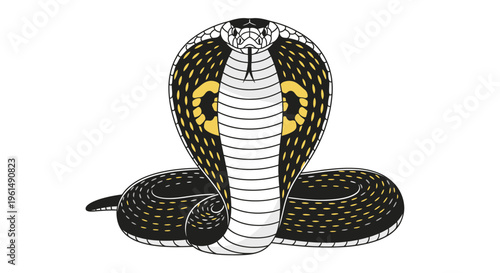 Cobra snake with hood raised high.