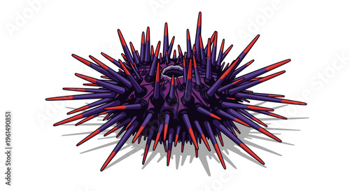 Close up of purple sea urchin.