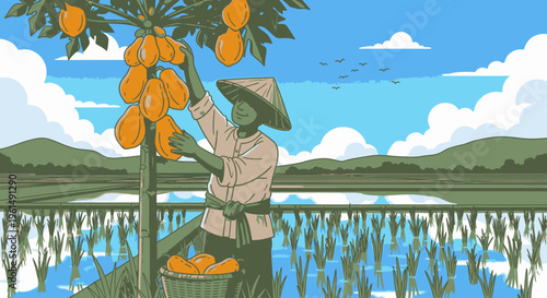 Man picking oranges from tree branch.