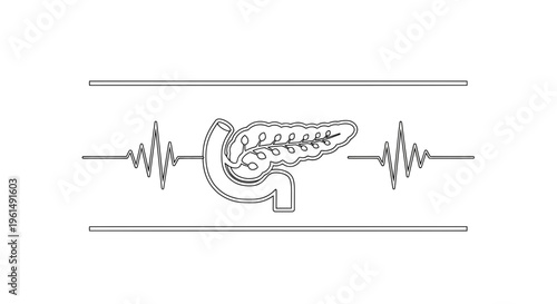Stylized linear illustration of human pancreas and duodenum with active heartbeat rhythm depicting