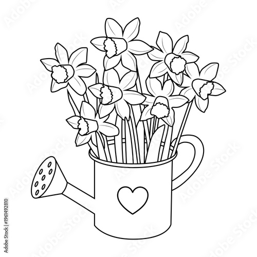 Daffodils in Watering Can Line Art, Narcissus Flower Bouquet in Garden Pot with Heart, Hand Drawn Spring Floral Outline Illustration for Kids Coloring Pages, Mother's Day Greeting Cards etc