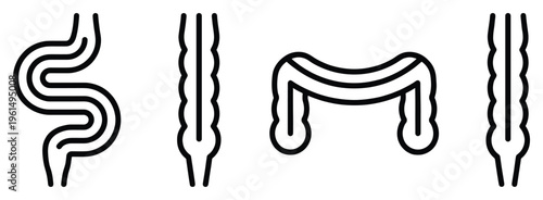 Large intestine anatomy bowel line art sigmoid colon transverse colon descending and ascending colon