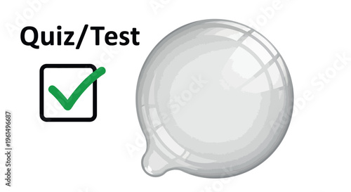 This conceptual image features a prominent white three-dimensional speech bubble accompanied by the words 'Quiz/Test' and a perfectly checked checkbox, symbolizing assessment and completion.