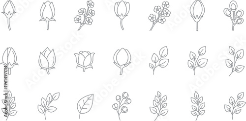 Collection of delicate black line art icons depicting various stages of cotton plant development including buds blossoms and leaves