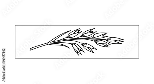 Elegant minimalistic outline of a ripe grain sprig depicting natural growth and agricultural bounty