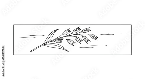Simple line art illustration of cereal grain stalk with leaves, a natural agricultural harvest