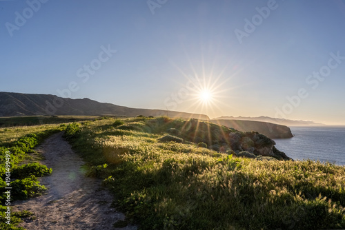 Cavern Point Trail passing along the greenery of new growth as the sun sets along the shoreline of Santa Cruz Island