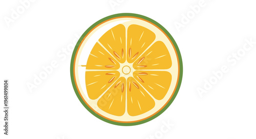 Stylized illustration of a fresh orange citrus fruit slice isolated on white background.