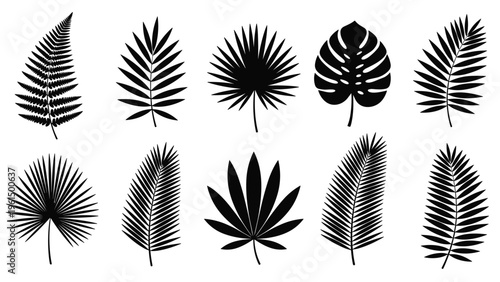 Diverse collection of black leaf silhouettes featuring palm fronds, monstera, and fern leaves is arranged in two horizontal rows.