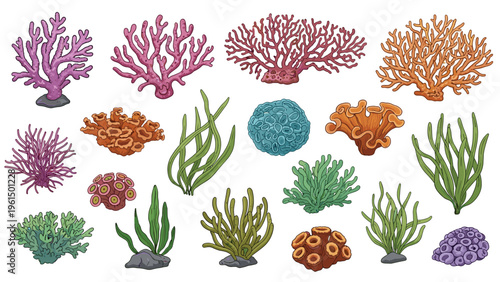 Diverse collection of colorful coral reef elements and various seaweed species in a detailed pixel art illustration style.