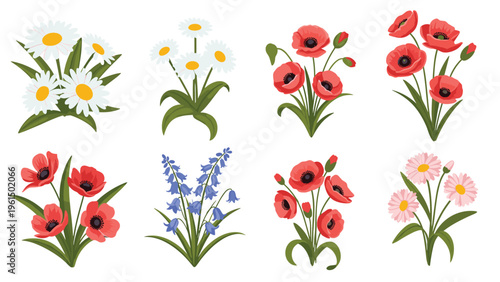 Assorted collection of colorful wildflower illustrations including daisies, poppies, and bluebells for nature-themed floral designs.
