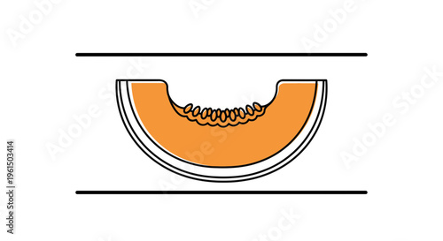 Vibrant orange melon slice illustration with seeds and clean lines, perfect for healthy eating
