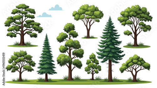 Diverse collection of different types of lush green trees like pines, oaks, and spruces set on a grassy field against a white background.