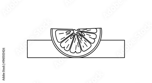 Minimalist black and white line drawing of a vibrant citrus fruit slice resting on a sleek