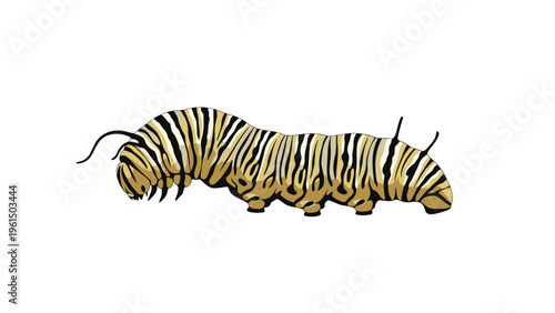 Highly detailed illustration of a monarch caterpillar featuring its distinctive black, white, and yellow stripes on a plain white background.