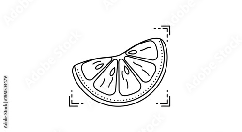 Minimalist citrus fruit slice outline art illustration for fresh design concepts